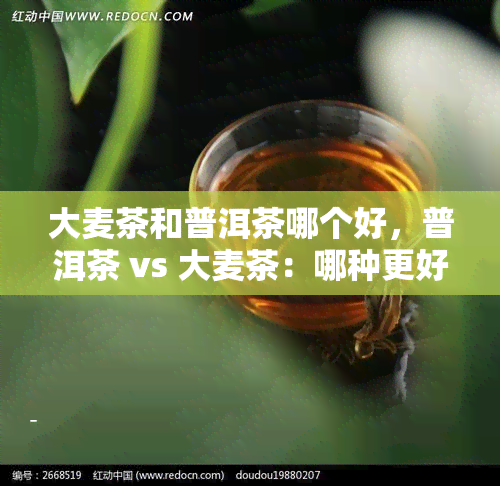 大麦茶和普洱茶哪个好，普洱茶 vs 大麦茶：哪种更好？