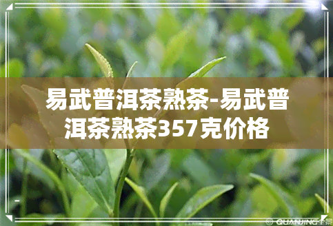 易武普洱茶熟茶-易武普洱茶熟茶357克价格