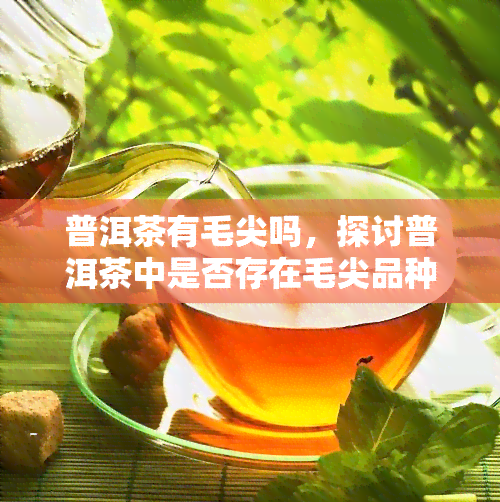 普洱茶有毛尖吗，探讨普洱茶中是否存在毛尖品种？