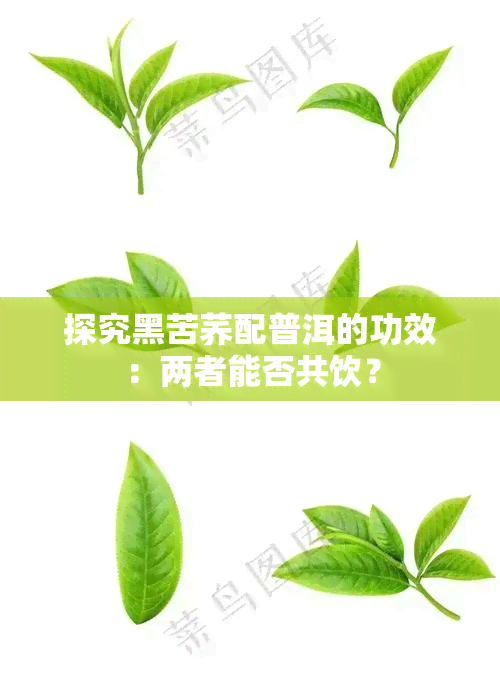 探究黑苦荞配普洱的功效：两者能否共饮？