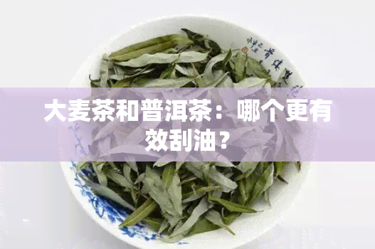 大麦茶和普洱茶：哪个更有效刮油？