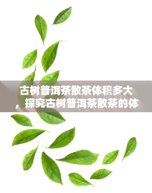 古树普洱茶散茶体积多大，探究古树普洱茶散茶的体积大小