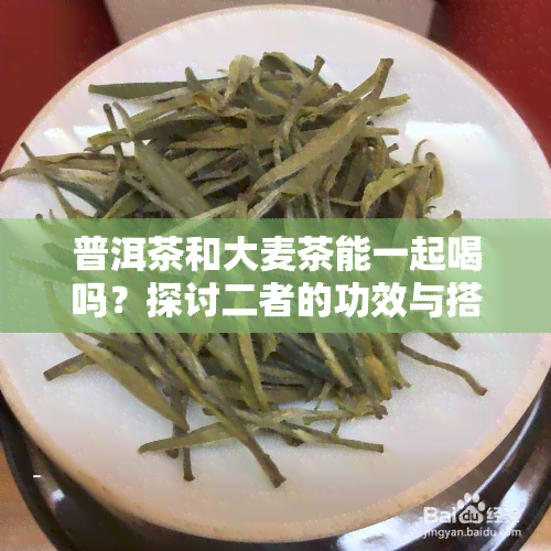 普洱茶和大麦茶能一起喝吗？探讨二者的功效与搭配可能性