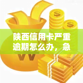 陕西信用卡严重逾期怎么办，急需解决！陕西信用卡严重逾期，你该怎么做？