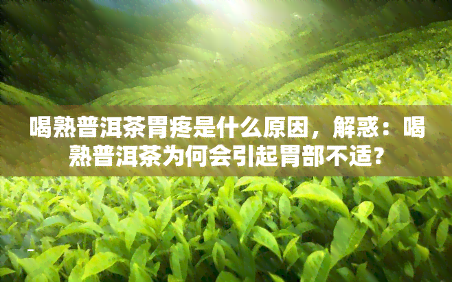 喝熟普洱茶胃疼是什么原因，解惑：喝熟普洱茶为何会引起胃部不适？