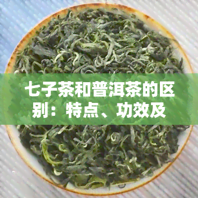 七子茶和普洱茶的区别：特点、功效及优缺点全解析