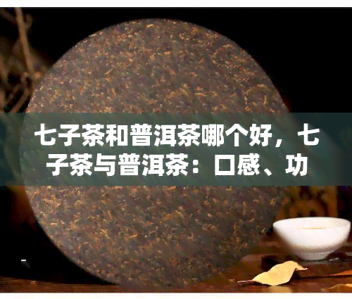 七子茶和普洱茶哪个好，七子茶与普洱茶：口感、功效及选择建议