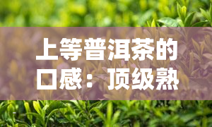 上等普洱茶的口感：顶级熟茶与价格、等级的区别