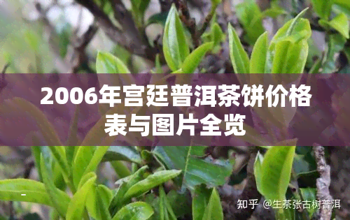 2006年宫廷普洱茶饼价格表与图片全览