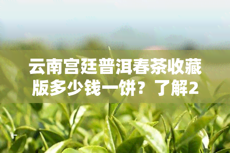 云南宫廷普洱春茶收藏版多少钱一饼？了解2006年及熟茶357克的价格与市场行情。