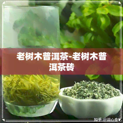 老树木普洱茶-老树木普洱茶砖