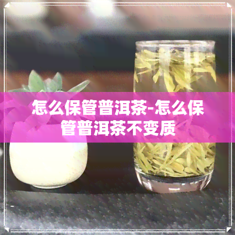 怎么保管普洱茶-怎么保管普洱茶不变质