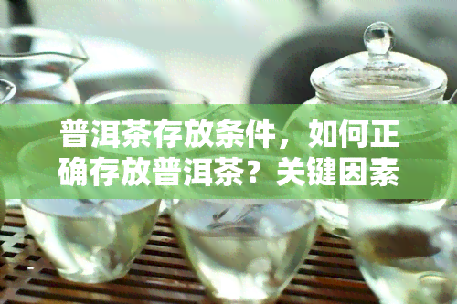 普洱茶存放条件，如何正确存放普洱茶？关键因素大揭秘！