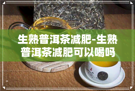 生熟普洱茶减肥-生熟普洱茶减肥可以喝吗