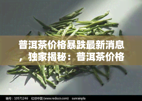 普洱茶价格暴跌最新消息，独家揭秘：普洱茶价格最新暴跌情况！