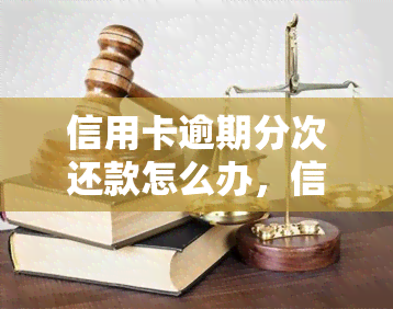 信用卡逾期分次还款怎么办，信用卡逾期：如何进行分次还款？