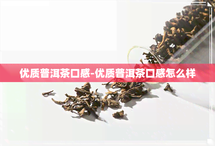 优质普洱茶口感-优质普洱茶口感怎么样