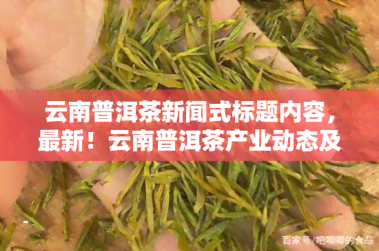 云南普洱茶新闻式标题内容，最新！云南普洱茶产业动态及市场走势解析