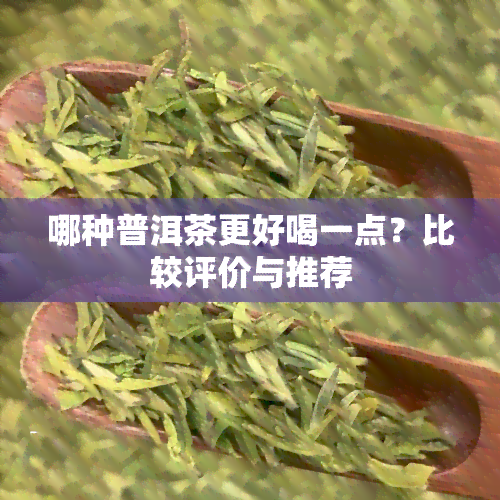 哪种普洱茶更好喝一点？比较评价与推荐