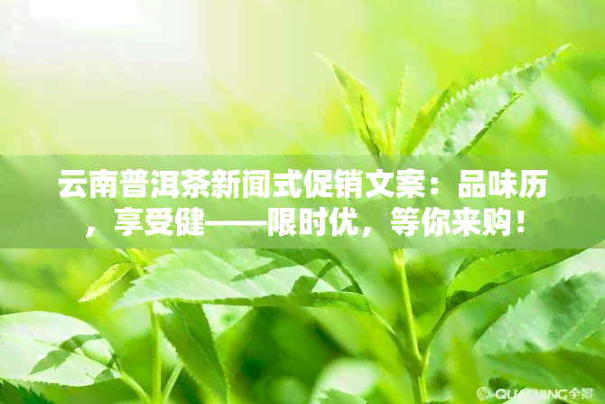 云南普洱茶新闻式促销文案：品味历，享受健——限时优，等你来购！