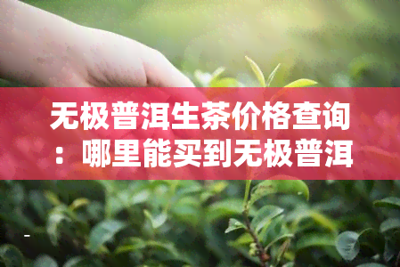 无极普洱生茶价格查询：哪里能买到无极普洱茶？