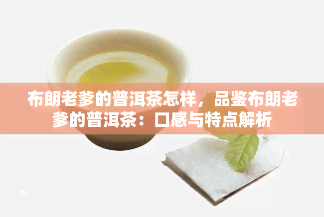 布朗老爹的普洱茶怎样，品鉴布朗老爹的普洱茶：口感与特点解析