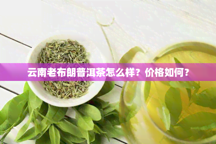 云南老布朗普洱茶怎么样？价格如何？