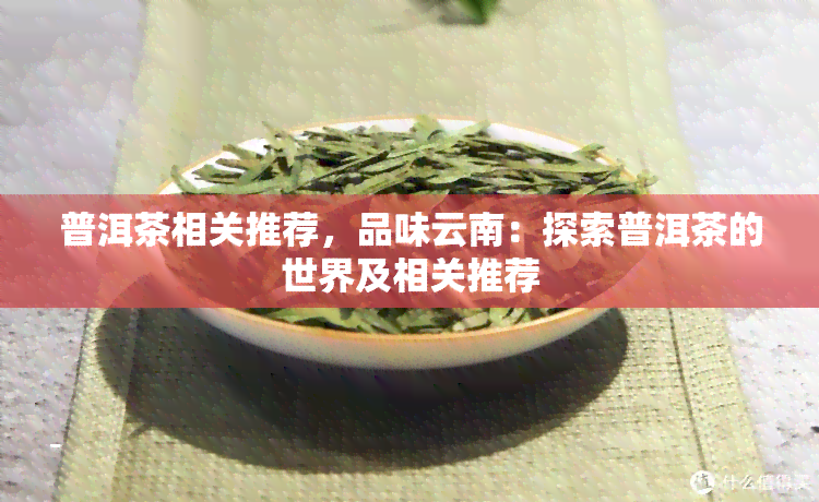 普洱茶相关推荐，品味云南：探索普洱茶的世界及相关推荐