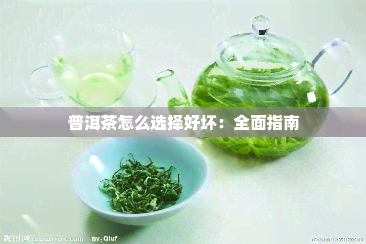 普洱茶怎么选择好坏：全面指南