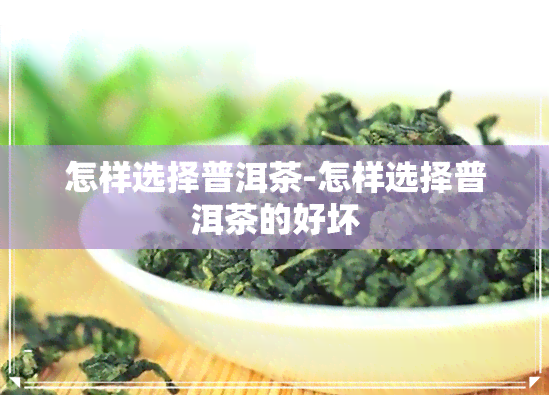 怎样选择普洱茶-怎样选择普洱茶的好坏