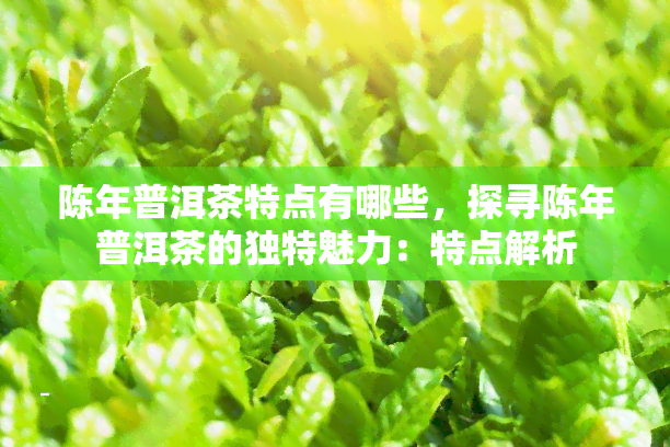 陈年普洱茶特点有哪些，探寻陈年普洱茶的独特魅力：特点解析