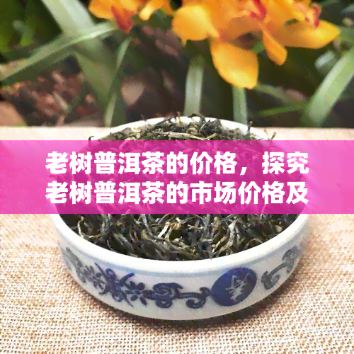 老树普洱茶的价格，探究老树普洱茶的市场价格及影响因素