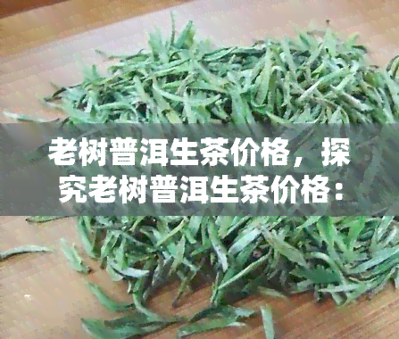 老树普洱生茶价格，探究老树普洱生茶价格：一份全面的市场分析与价值评估