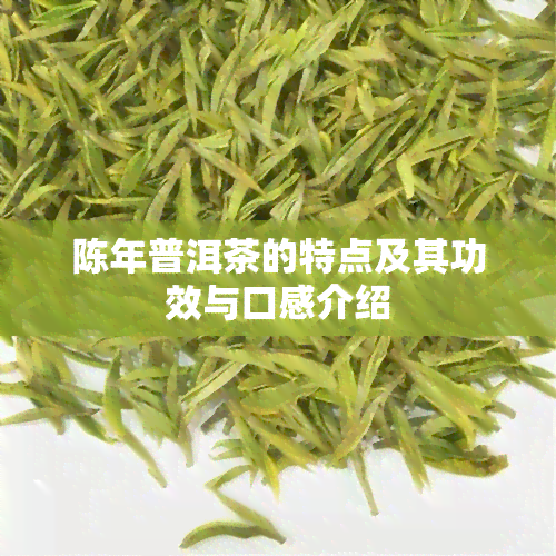 陈年普洱茶的特点及其功效与口感介绍