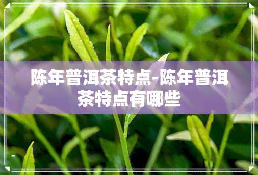 陈年普洱茶特点-陈年普洱茶特点有哪些