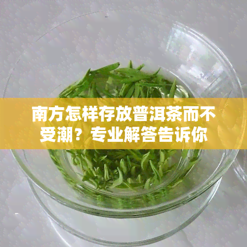 南方怎样存放普洱茶而不受潮？专业解答告诉你