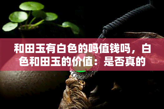 和田玉有白色的吗值钱吗，白色和田玉的价值：是否真的值钱？