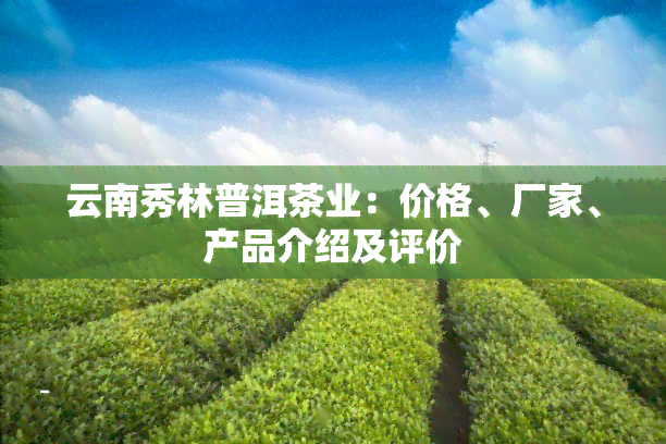 云南秀林普洱茶业：价格、厂家、产品介绍及评价