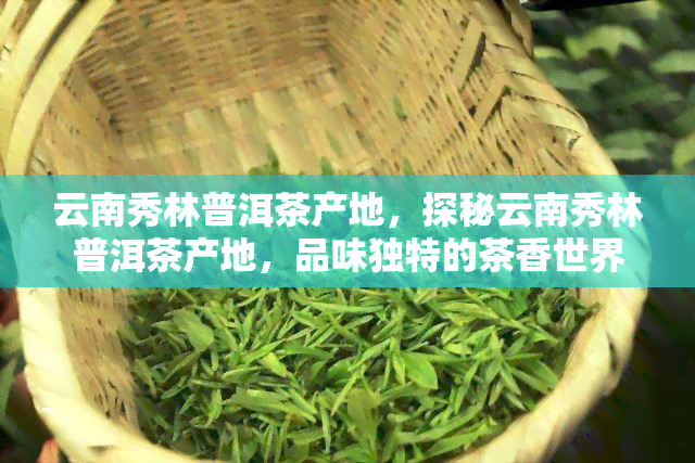 云南秀林普洱茶产地，探秘云南秀林普洱茶产地，品味独特的茶香世界