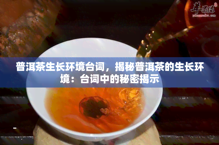 普洱茶生长环境台词，揭秘普洱茶的生长环境：台词中的秘密揭示