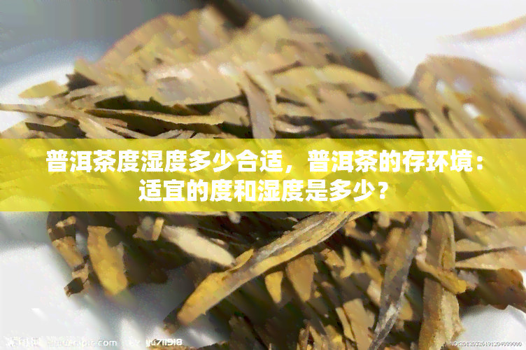 普洱茶度湿度多少合适，普洱茶的存环境：适宜的度和湿度是多少？