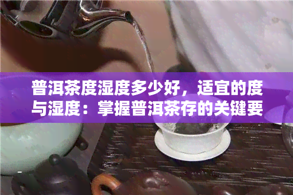 普洱茶度湿度多少好，适宜的度与湿度：掌握普洱茶存的关键要素