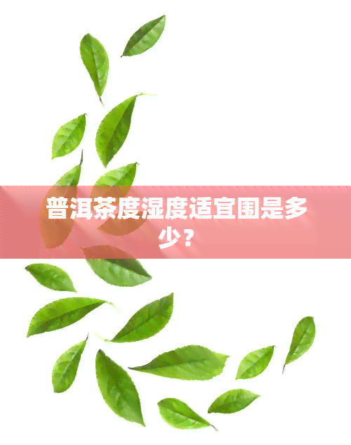 普洱茶度湿度适宜围是多少？