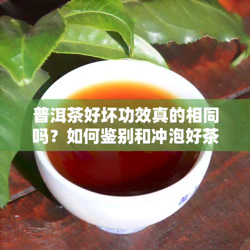 普洱茶好坏功效真的相同吗？如何鉴别和冲泡好茶，以及区别优劣的方法。