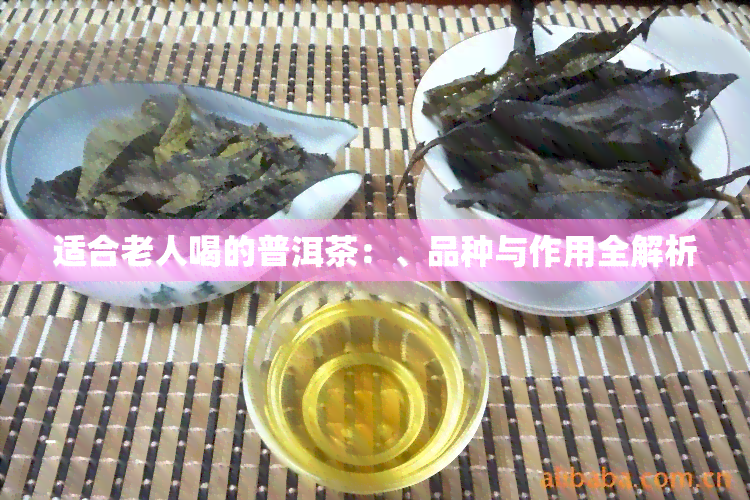 适合老人喝的普洱茶：、品种与作用全解析