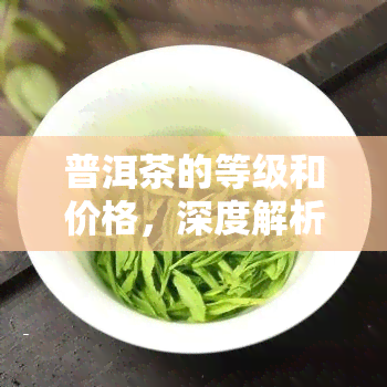 普洱茶的等级和价格，深度解析：普洱茶等级与价格的关系