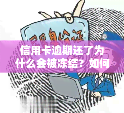 信用卡逾期还了为什么会被冻结？如何解决？能否解冻？