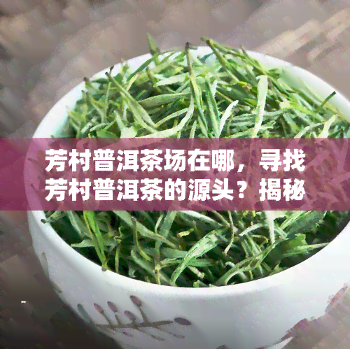 芳村普洱茶场在哪，寻找芳村普洱茶的源头？揭秘芳村普洱茶场位置！