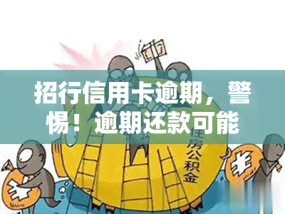 招行信用卡逾期，警惕！逾期还款可能带来的严重后果——以招行信用卡为例