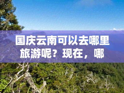 国庆云南可以去哪里旅游呢？现在，哪些地方最值得游玩？